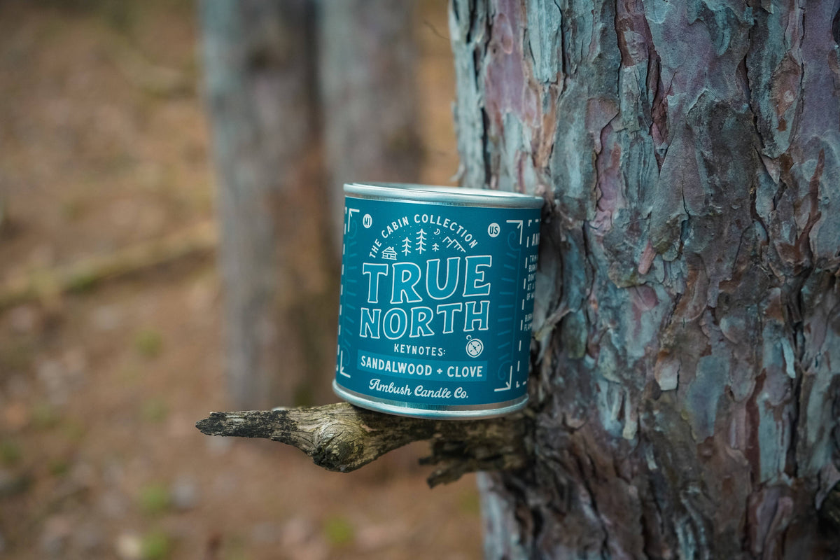 True North | Sandalwood + Clove Soy Candle