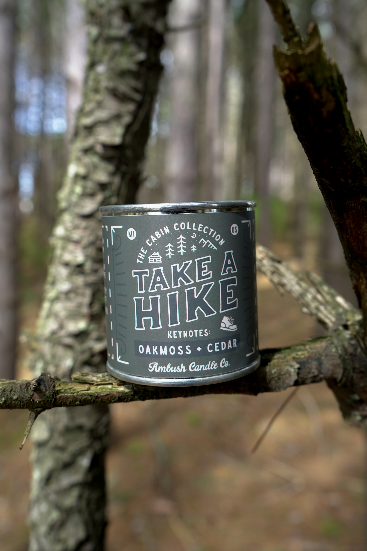 Take A Hike | Oakmoss + Cedar Soy Candle