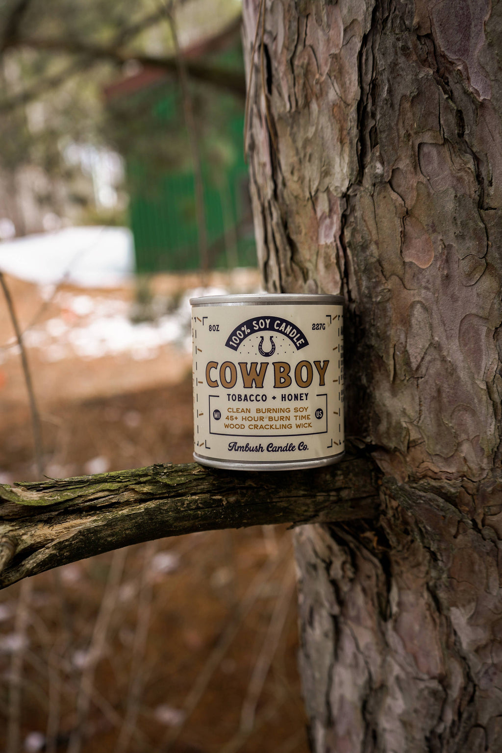 Cowboy First Edition