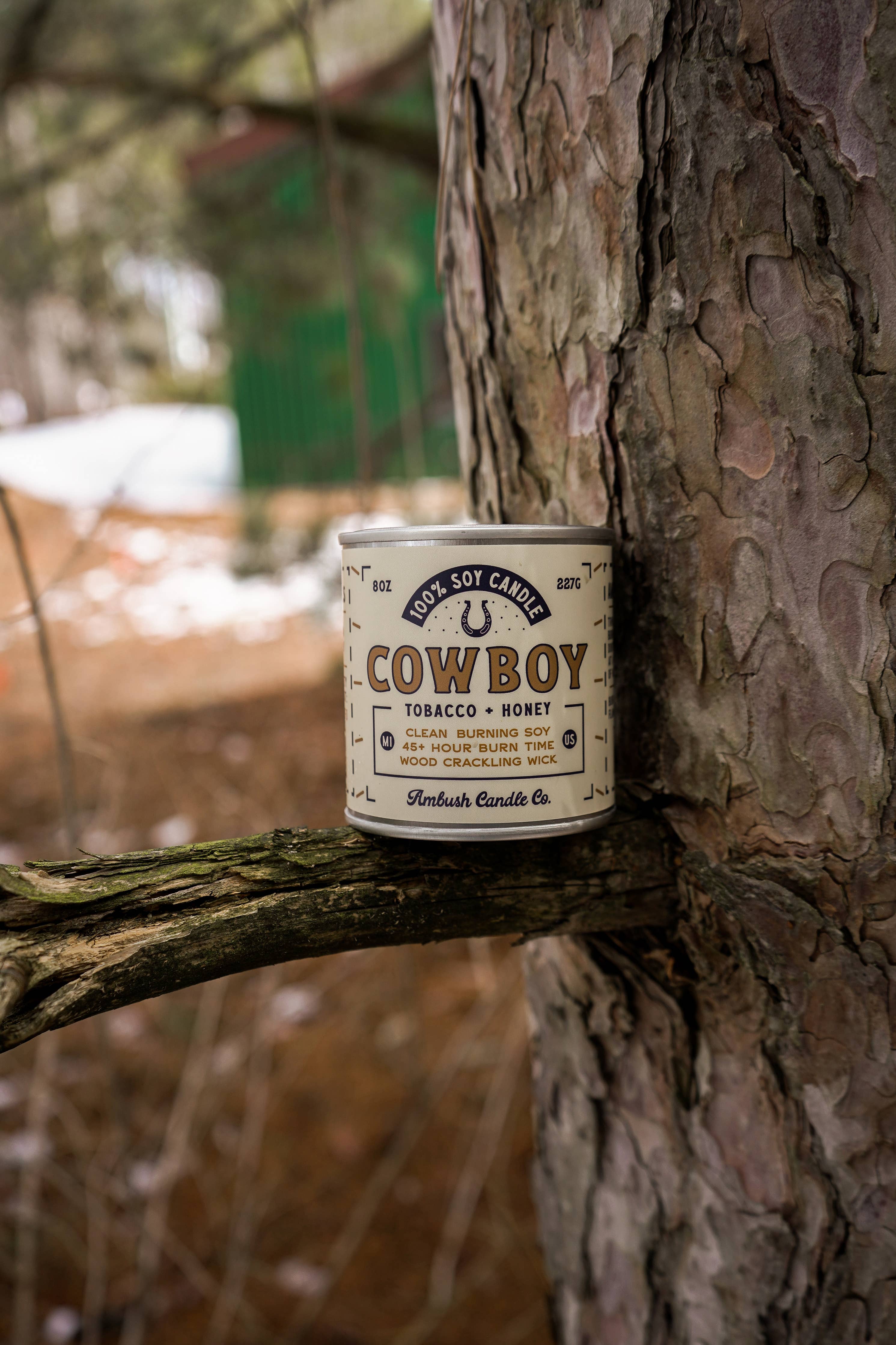 Cowboy First Edition