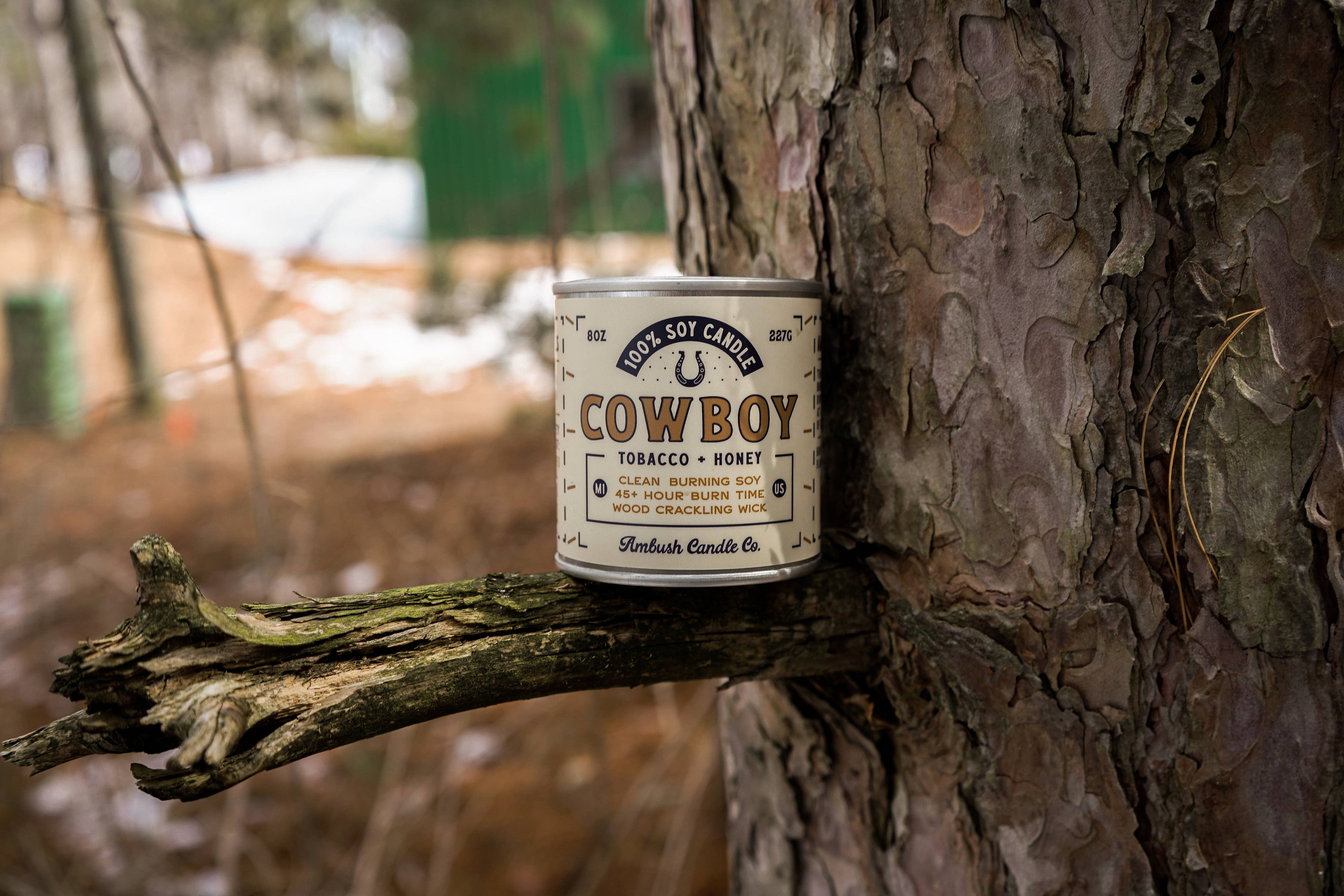 Cowboy First Edition