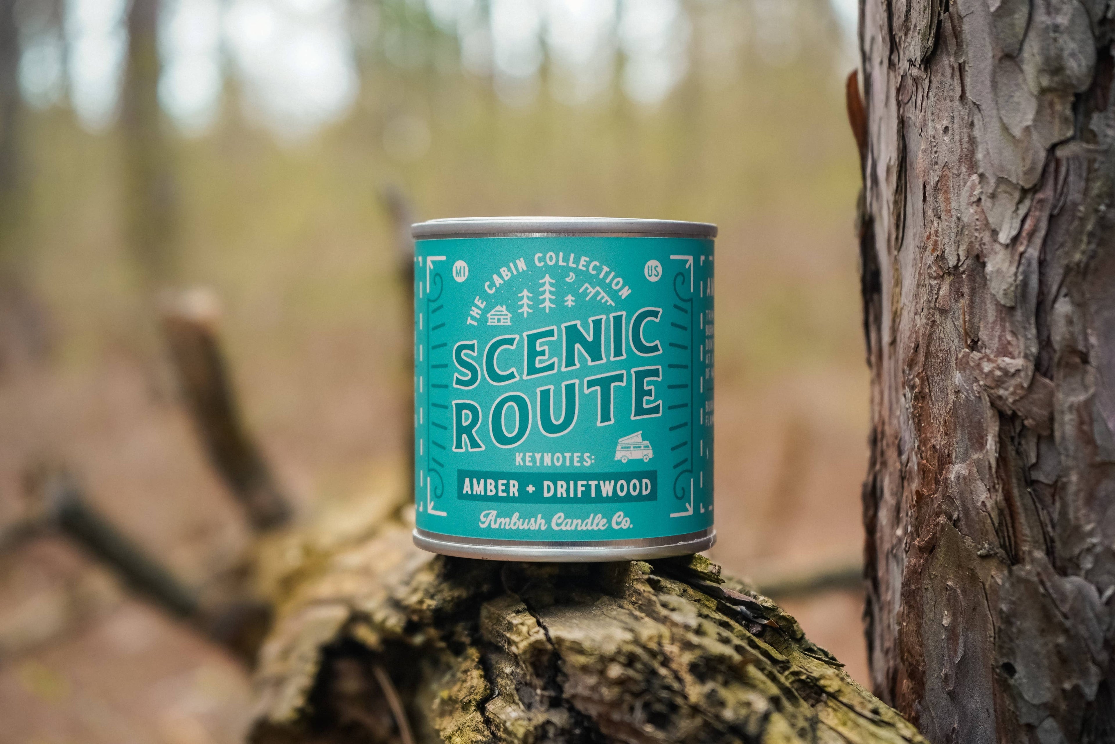 Scenic Route | Amber + Driftwood Soy Candle