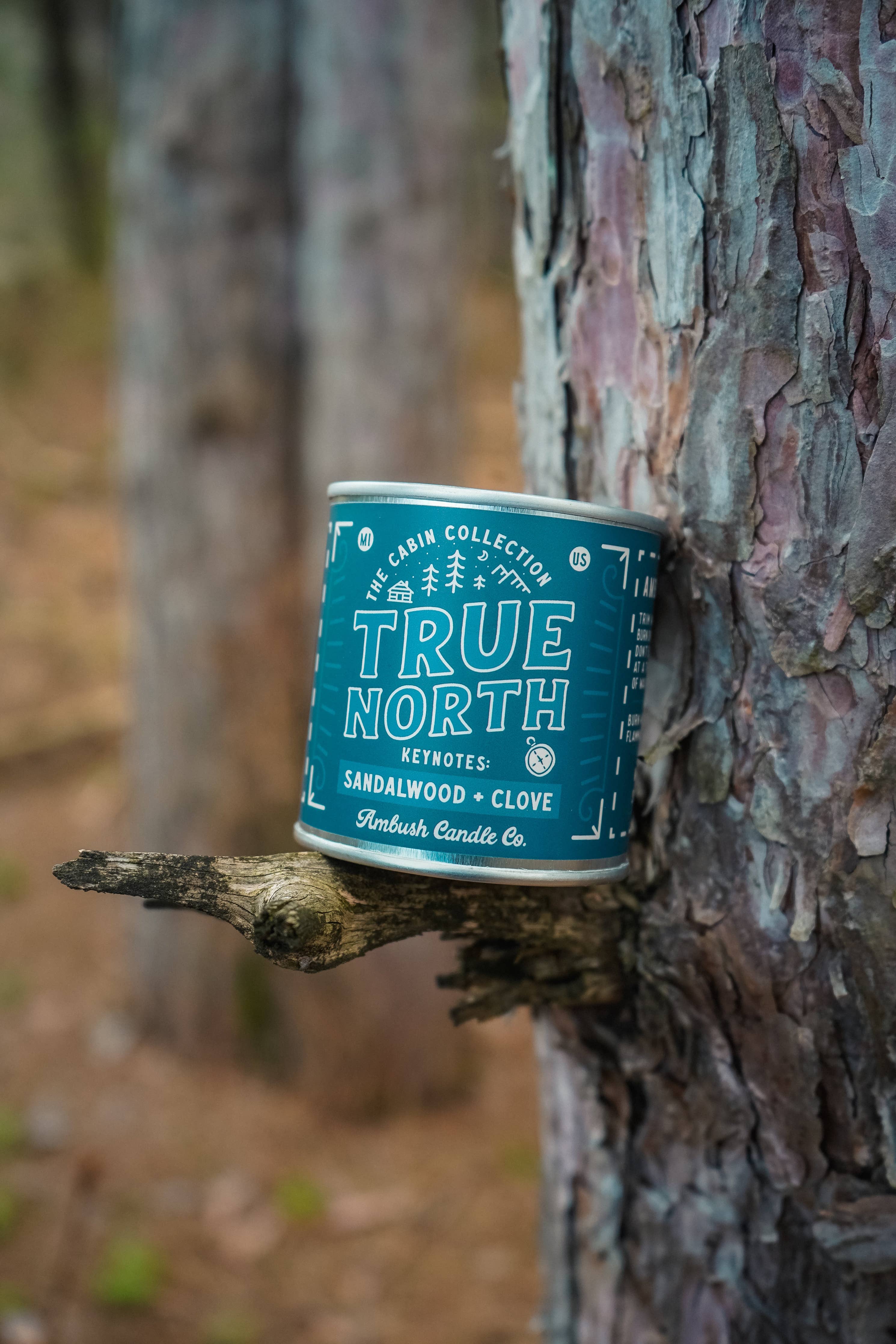 True North | Sandalwood + Clove Soy Candle